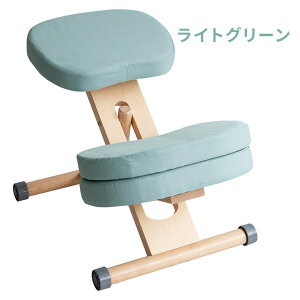 ypǂȂ֎qz qp wK֎q NbVtv|[V`FA LbY CH-889CK CH-N889CK i`r Cgi`r zCgr wK ׋ h wj w  