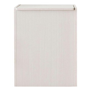 ؐLb`y[ ChereiVF[j DB-650R 45L _Xg{bNX S~ CeA  X^CbV rOƋ {쏊 S~ CeA  X^CbV rO