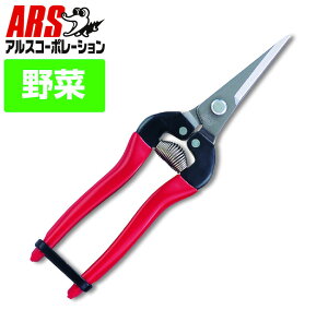 ARS �A���X300L-DX-BP �E���������O �X�e�����X