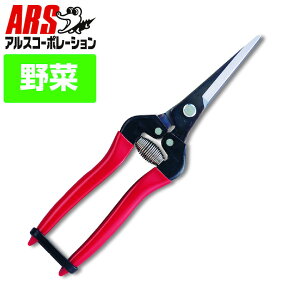 ARS �A���X300LL-BP �E�ʃG�N�X�g�������O