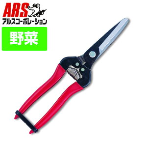 ARS �A���X300LW-BP �؉��� �ЍL