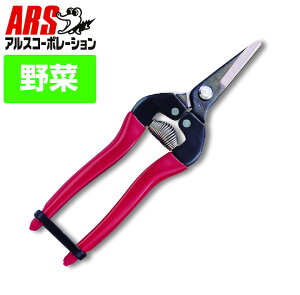 ARS AX300S E BP1|  _ _ nT~ ͂ v n 