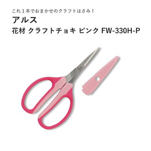 ARS AXԍ Ntg`L sN FW-330H-P  t[AWgnT~ ͂  oT~