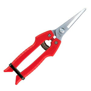 ARS AX SE-45 ֐nK[fjO| ؉ ʎ | ͔| K[fjO { ؂₷ E ̉  s  XeX