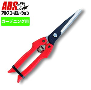 ARS AXSE-65  ʂ˂p  g}g ʂ˂ iX  n ͂ nT~  O n s ʎ n ̎