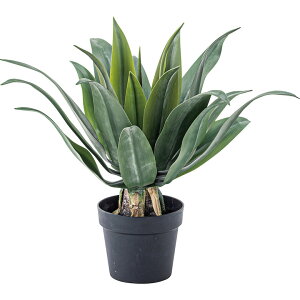 J GRN-14 tFCNO[ AKx O[