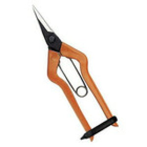 ߐ `J}T BP T-550 n:48mm ^`ol؂ E ͂ nT~ | _ K[fjO No.1 lC ʎ ݂ ~J |J _