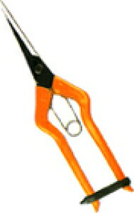 ߐ `J}TT-570 iOj BP n:55mm d:105g ʎ ݂  t _  ͂ nT~