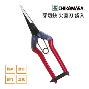 ߐ `J}TE n T-550 (ܓ) ͂ nT~ | _ K[fjO