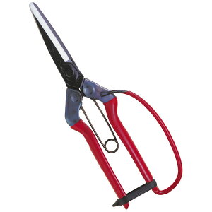 ߐ `J}TT-700G K[ht iܓj JAN:4967645031706 ܂˂ ʂ˂ ʔK ʔK イ  n _ ͂ nT~ 