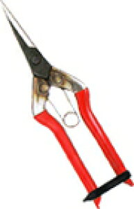 ߐ `J}T T-551 뒼n ϔ͂ nT~ | _ K[fjO