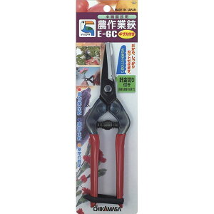 ߐ `J}T E-6C _|  _ _ nT~ ͂ v n 