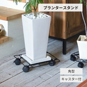 v^[X^h p^ LX^[t RRn |bgvgg[[ XNGA ̂  K[fX^h K[fjOpi