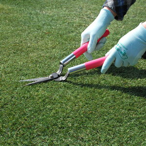 hEJ zCgX^[ 0110   Ŋ Ŋ΂  