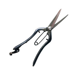 hEJ bb Ȃ ~ 200 DK-620