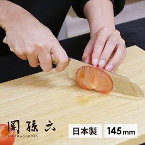 L ֑Z 10000CL000AE5253 O 145mm JAN:4901601364064 O  XeX { Y m g₷ i ` KAI i ` ̓ a V  z j Mtg v