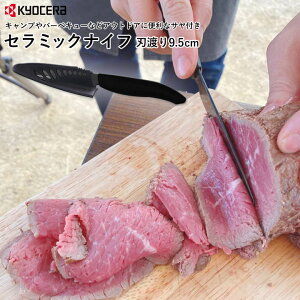 ZFKR-095S-SG Z~bNiCt t[ciCt 9.5cm ubN t@Cv~A 