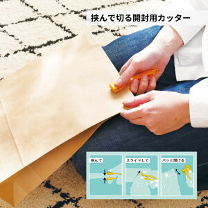 pbP PK-1 pE` Hi z J Jb^[ ggpbN ggpE` ו ʔ