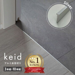 LO1 XcA~ keid A~؂ Vo[ 3{ 10{t[O ^C Ȃ [ T^` 4mm×12.5mm×1820mmVv  fUC rO Lb` _Cj