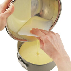 ^CK[NE Cake land ڐt hbW 555 ڐthbW Xpe XPbp[ XNbp[ Xp` J[h w َq p ٓ p  Ȃ炷  555