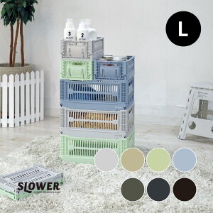 SLOWER XE[ Rei{bNX [{bNX Rei[ oXN L BASK AEghA ܂肽 [ X^bLO VFo VF Rei [pi ܂ RpNg y  J