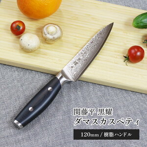 ֓ s _}XJX yeBiCt 120mm Lb` Mtg v[g