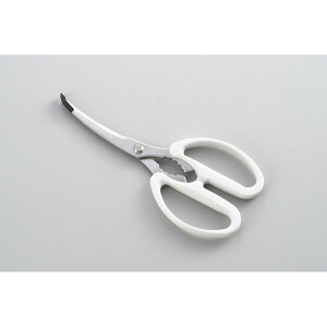 VJ MOTTE@zbgv[gpē΂ YJ3195 Lb`oT~ Lb` Lb`͂