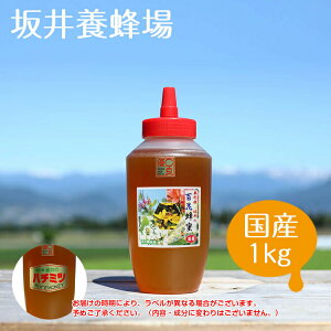 �y�͂��݂� ���Y �S�� 1kg�z�S�ԖI��1kg ���Y�� �����yH1000/���{�I��z�S�Ԗ� ��e�� �n�`�~�c �n�j�[ �X�C�[�c �R�ۍ�p �I ���{�I�� �Ö� �� �r�^�~�� �~�l���� �p���P�[�L