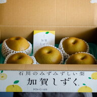 【敬老の日ギフト】2026 加賀しずく 1箱 5kg 石川県産 梨 果物 フルーツお取り寄せ 贈答用 ご自宅用 5~12…
