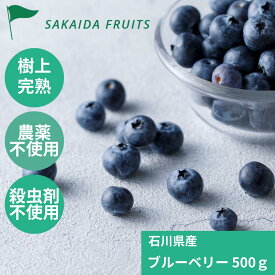 冷凍 ブルーベリー 石川県産 無農薬 殺虫剤不使用 国産 大容量 安心 品質 500g 1kg 金沢 ブルーベリー農園 ちはらファーム 冷凍フルーツ 冷凍ブルーベリー　国産ブルーベリー 石川応援 樹上完熟 農薬不使用