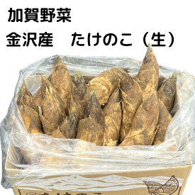 【今が旬】たけのこ 筍 加賀野菜 金沢産 石川県 皮付き 生 5kg 2.5kg ぬか同封いたします。