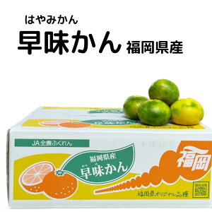 yzY ɑ݂ TCYI 2kg 4kg { I t[c  Mtg p 