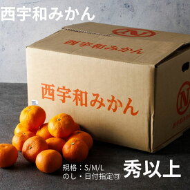 【12月上旬発送開始】2026 西宇和みかん 愛媛県 高糖度 みかん 秀品以上 S M L 旬 厳選 果物 お取り寄せ ご自宅用 フルーツギフト 贈答用 お歳暮 送料無料 日の丸 真穴 川上 冬ギフト