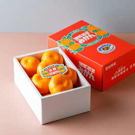 蒲郡 温室 みかん 1.2kg 夏 贈り物 フルーツセット 暑中見舞い 残暑見舞い 御祝 御礼 御供 各種対応 果物 プレゼント 贈答用 S /M サイズ