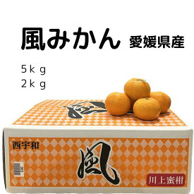 【12月上旬発送開始】風みかん 訳あり 傷あり規格 愛媛 西宇和 にしうわみかん 川上共選 ミカン M/L サイズ 5kg 5キロ 2kg 2キロ 旬 厳選 果物 お取り寄せ フルーツ 自宅用 こたつみかん