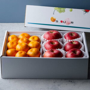 I񂲂Ƃ݂̋lߍ킹 TJC_t[c Ε Mtg I ʕ  ʕX t[cZbg Ε t[c