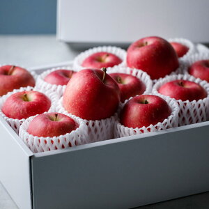 ʕX I  쌧Y 2024 TJC_t[c Ε t[c