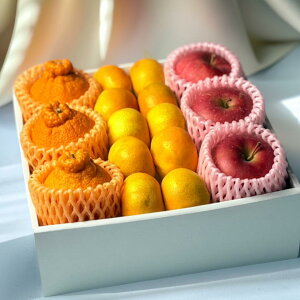 t[cR| Tӂ  fR| YnI݂ R݂ ~G ʕXIԃt[cMtg ~Mtg Εɂ҂ ݂ȂɈt[c3ދlߍ