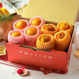 【12月上旬発送開始】紅まどんな デコポン 冬季限定 フルーツギフト 二大柑橘の豪華2種盛り 愛媛県産 紅まどんな 鹿児島県産 デコポン お歳暮 高級柑橘の詰め合わせ サカイダフルーツ 特選ギフト 老舗果物専門店 冬ギフト