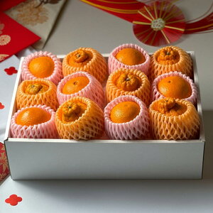 g܂ǂ fR| ~G t[cMtg 効k̍2퐷 QY g܂ǂ Y fR| Ε k̋lߍ킹 TJC_t[c IMtg V܉ʕ