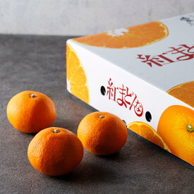 【12月上旬発送開始】紅まどんな 愛媛県 紅マドンナ 2．5kg 2.5キロ 1・25kg 1.25キロ 贈答用 お歳暮 ギフト ご自宅用 フルーツ お取り寄せ 旬 厳選 果物 送料無料 冬ギフト
