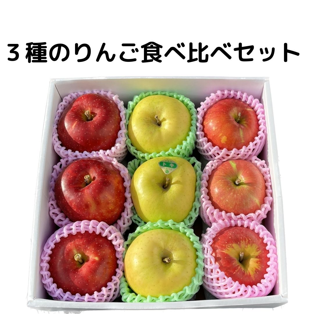 りんご 詰め合わせ 3㎏ - 果物
