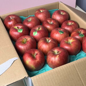 2025 VimXC[g 쌧Y XY R`Y  I { ʕ  t[cMtg p p Ε ̂ƂYn܂ XY