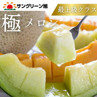 【早割クーポン有】6月7日まで JA茨城旭村 極メロン 6月発送開始 最高品質 糖度18度超え 青肉メロン アー…