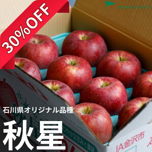 yoגzH 2025 ΐIWi i   I { ʕ t[c Mtg TCYI