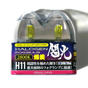 Ԋ@ JAPAN M 24V \  nQ ou H11/70w 2800k CG[ CG[ tHOvp 2 lC  gbN gbNpi J[p[c JX^ p[c JX^p