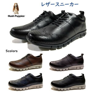 nbVps[iHush Puppies) Y C U[Xj[J[ M-7102T y 3E JWA & rWlX Z[