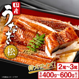 うなぎ 国産 鰻 ウナギ unagi かば焼き2尾～3尾 合計400g以上～600g以上「松」長焼き お中元 限定 先行受付 贈答用 ギフト用 国産 うなぎ タレ 山椒付き 蒲焼き 丑の日 ギフト 誕生日 鰻楽 送料無料