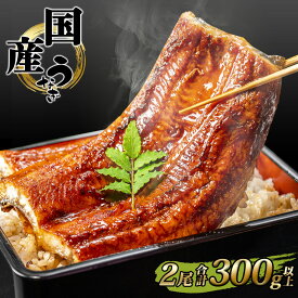 ＼数量限定／ うなぎ 国産 鰻 蒲焼き 2尾 300g 以上タレ 山椒付き | 鰻 ウナギ 蒲焼き 土用の丑の日 ギフト 誕生日 母の日 父の日 【1〜3週間程度で発送】うなぎ復活プロジェクト 小分け 年内発送 鰻楽 送料無料