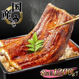 国産 うなぎ かば焼き 8尾 1200g 以上 タレ 山椒付き | 鰻 ウナギ 蒲焼き 土用の丑の日 ギフト 誕生日 母の日 父の日 【1〜3週間程度で発送】うなぎ復活プロジェクト 小分け 年内発送 鰻楽 送料無料